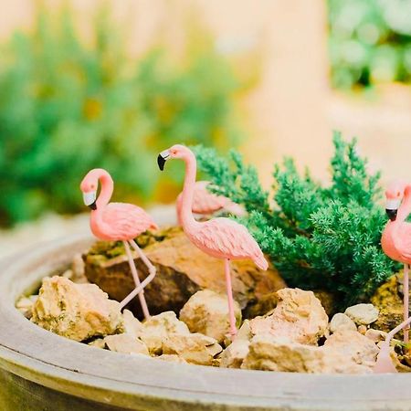 ที่พักสงขลา Homy Garden Songkhla Ban Khao Rup Chang Zewnętrze zdjęcie